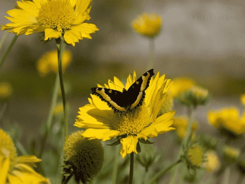 试管代孕医疗环境